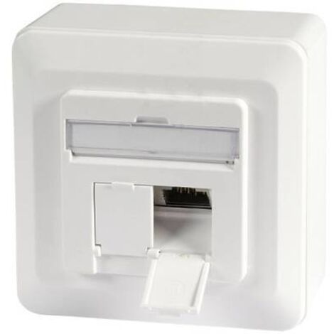 EFB ELEKTRONIK ET-25133AV5-R - TOMA DE CORRIENTE (2 X RJ-45, 6A, BLANCO)