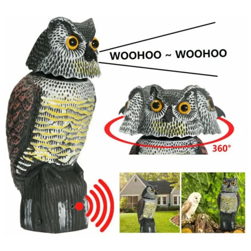 Famille - gabrielle Effaroucheur d'oiseau réaliste tête rotative son hibou rôdeur leurre répulsif Protection antiparasitaire épouvantail jardin cour