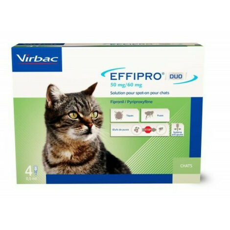 Effipro Duo soin antiparasitaire pour chats Boîte de 4 Pipettes