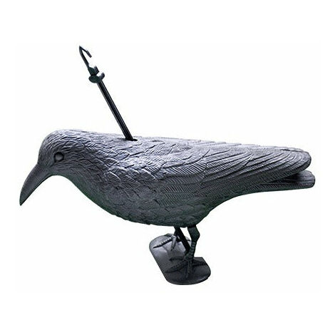 Effrayant de la forme du corbeau - dissuasor en forme