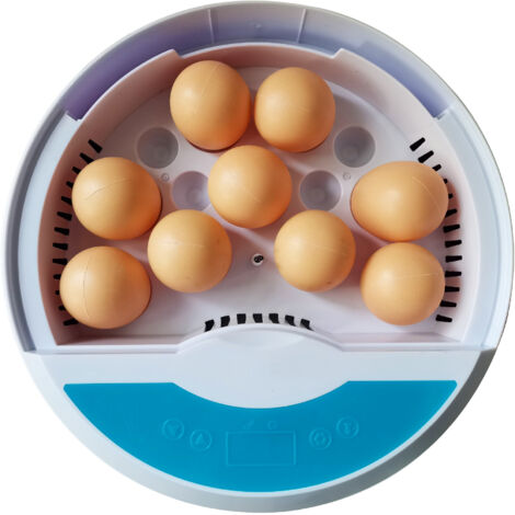 Eggs Chicken Incubator with Temperature Control, Turtle Egg Incubator with LED Digital Display Small Incubator for Chickens, Ducks, Quails