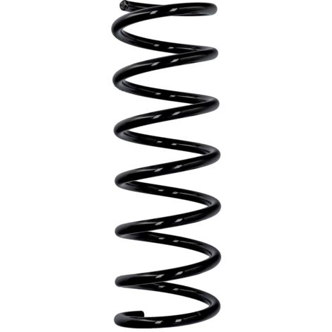Eibach Originalfeder R10838