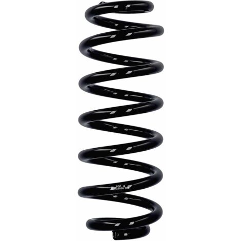 Eibach Originalfeder R22928