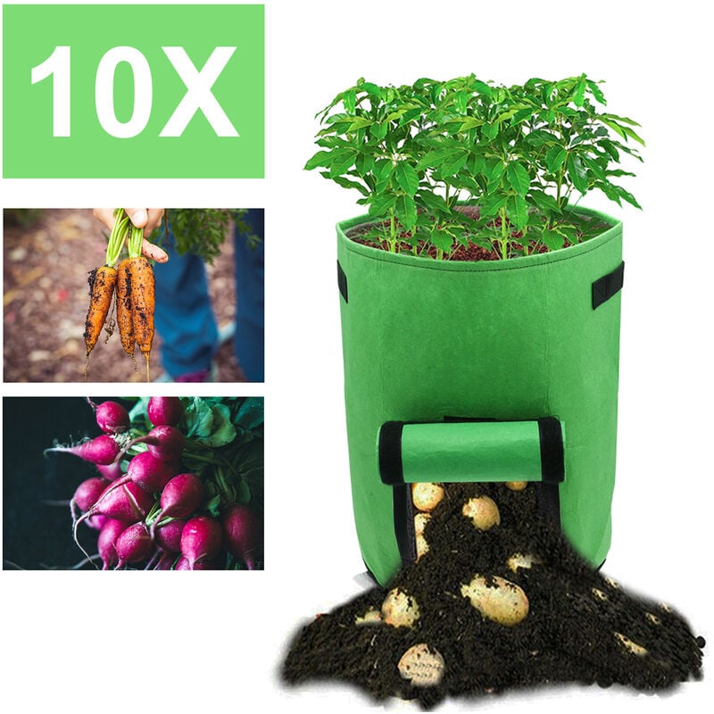 Einfeben - 10 Sac de plantation accessoires de plantes sac de plantes sac de plantes panier de plantes non tissé 38L (10 gallons) - Vert