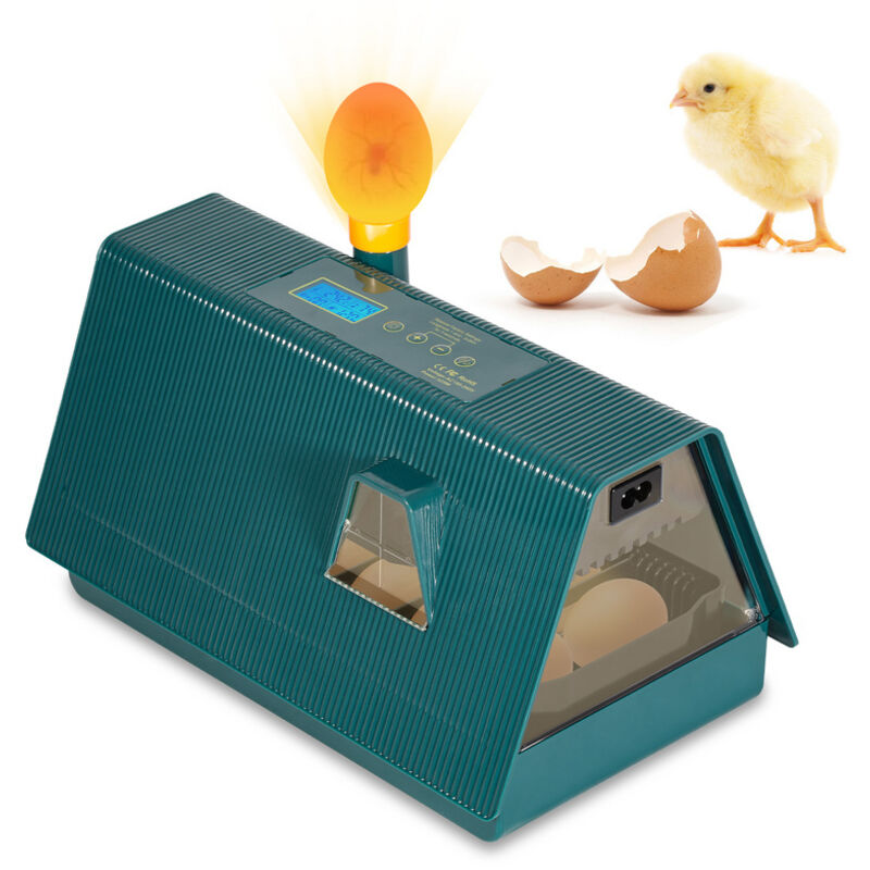 EINFEBEN Couveuse Automatique Incubateur Appareil À Couver 10 Oeufs Volaille Éleveur LED