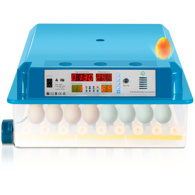 Einfeben - Couveuse Avec Lumière d'œufs led pour poule oie canard pigeon caille oiseau incubateur numérique incubateur de surface 64 œufs vert