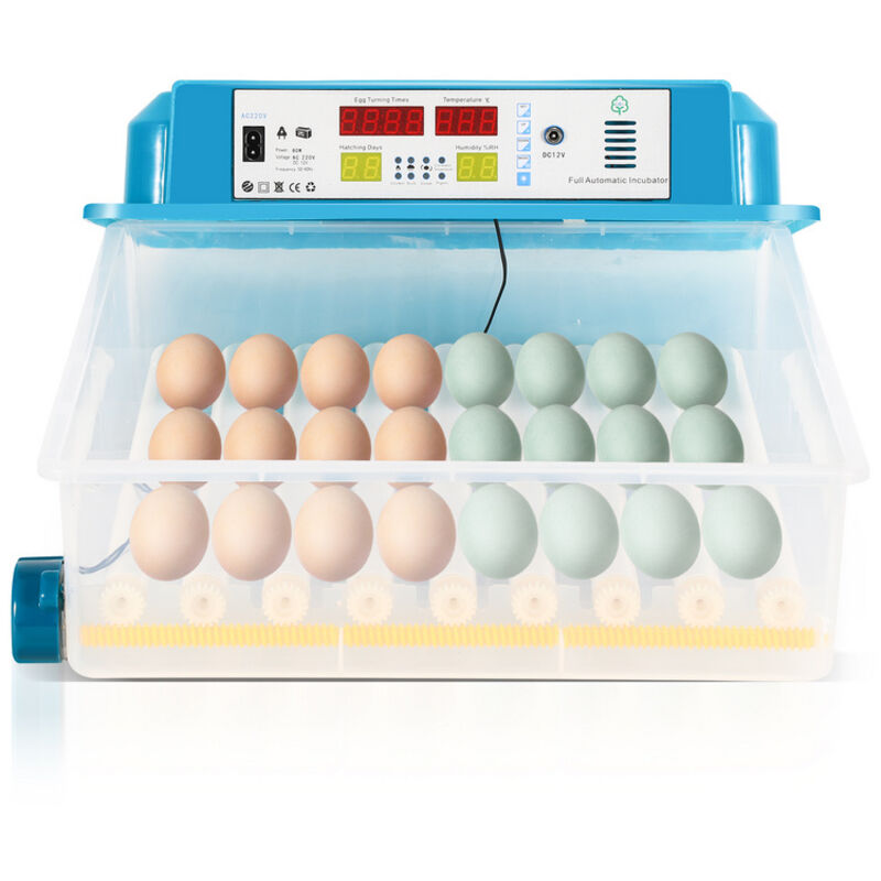 Einfeben - Couveuse Incubateur d'œufs Couveuse de surface avec écran lcd 35-36w pour poules, canards et autres poussins Avec lumière d'œufs led 64