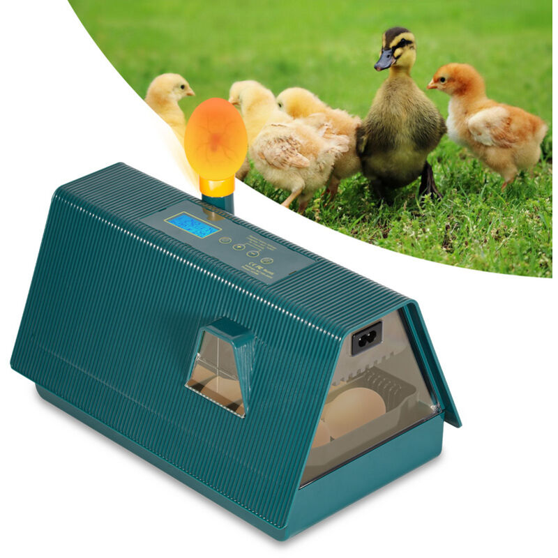 Einfeben - Couveuse Oeuf Automatique 10 Oeufs, Incubateur Oeuf Automatique, Retournement Automatique des œufs et Surveillance de l'humidité,