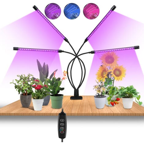 RANDACO EINFEBEN Lampe pour Plantes 40W 80 LED Lampe de Croissance pour Plantes avec minuterie Auto - on/Off 3H/9H/12H, 10 luminosité Lampe de Plante pour semis, Croissance, Floraison et Fruits