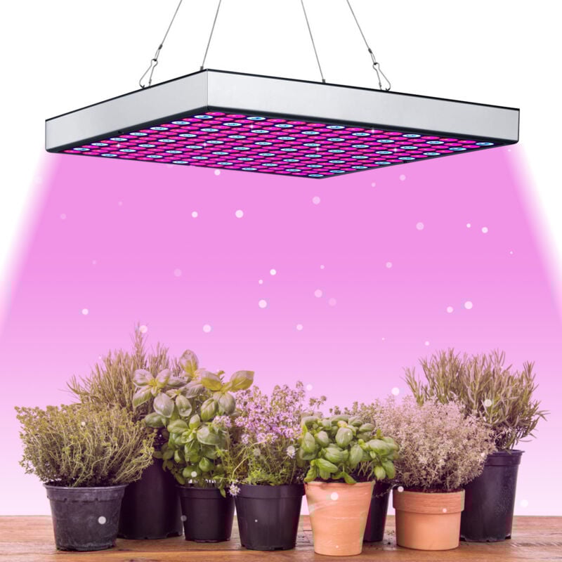 Einfeben - led plante lampe 15 w plante lampe pour serre 225 LEDs Rouge Bleu plein spectre plante lumière pour semis jardin fleurs jardin