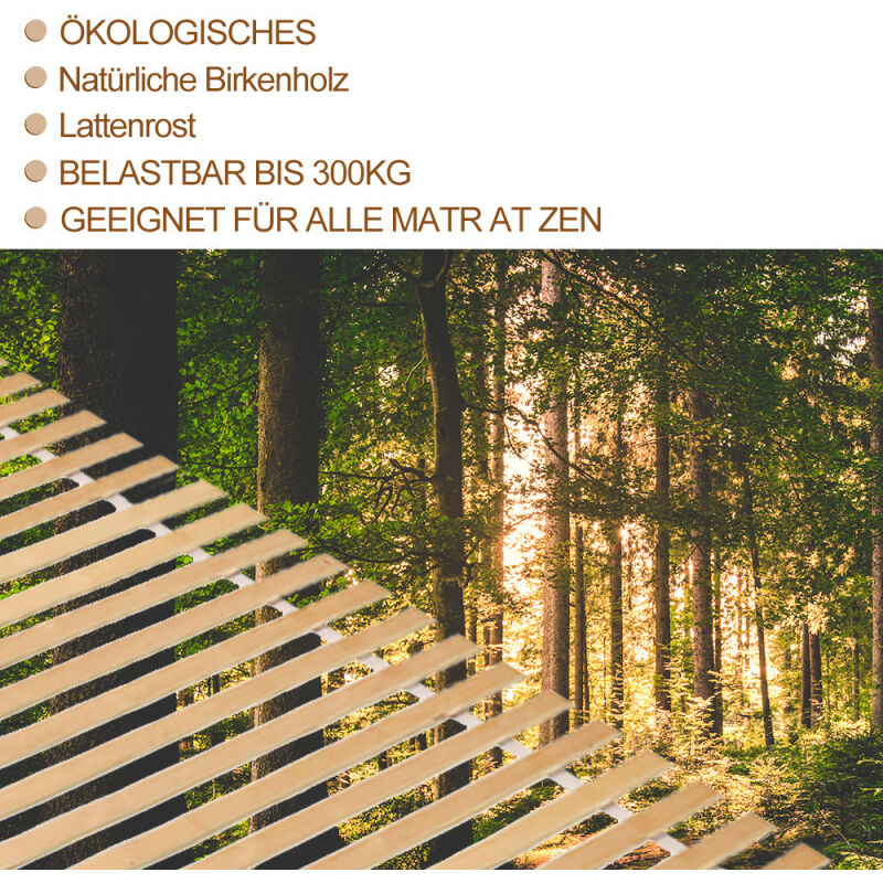 Einfeben - Sommier à lattes, sommier à lattes roulantes, confort, 28 lattes, matelas pour le lit, sommier à roulettes premium