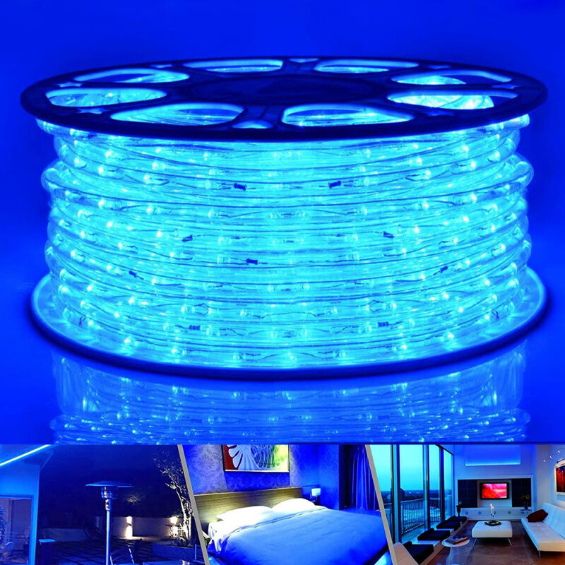 EINFEBEN Tube Lumineux Extérieur LED Guirlande Lumineuse Décoration et Adapteur d’alimentation Bleu-20M