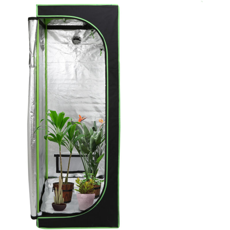 Einfeben - Chambre de Culture Tente de Culture de plantes en intérieur 60 x 60 x 180 cm