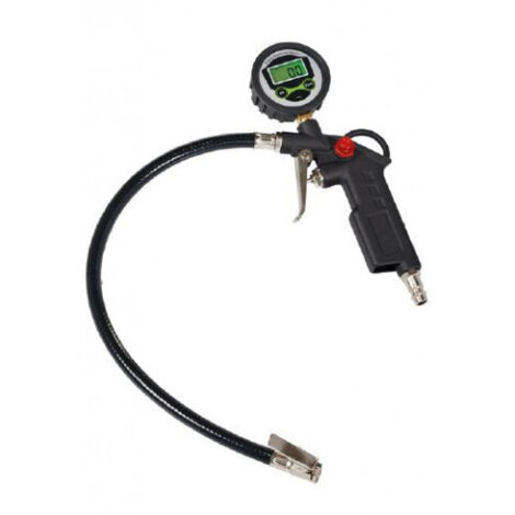 Einhell 4133115 Medidor digital de presión de neumáticos negro y verde