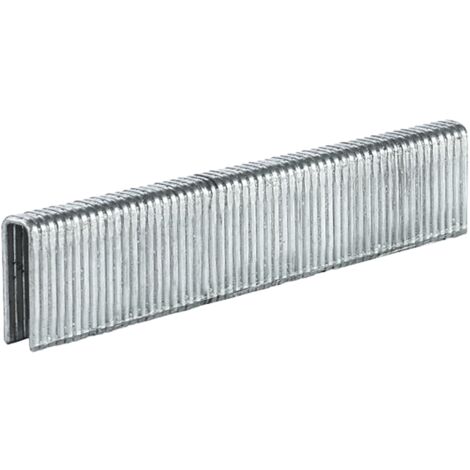 Einhell Boite de 3000 Agrafes 5x16 mm