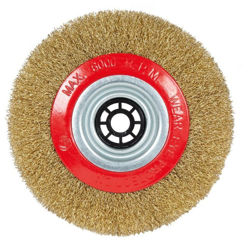 Disque brosse pour touret à meubler combiné