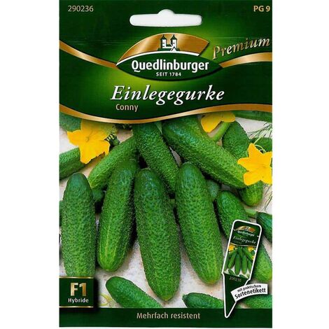 Einlegegurke, Conny F1