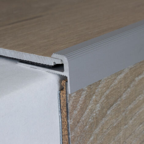 Einschubprofil "Stannington" mit Nase für Designbeläge, Einfasshöhe 5 mm, Aluminium eloxiert, gebohrt