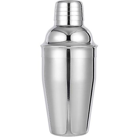 Einteiliger Standmixer – Edelstahl mit Filter – 350 ml – Glänzend