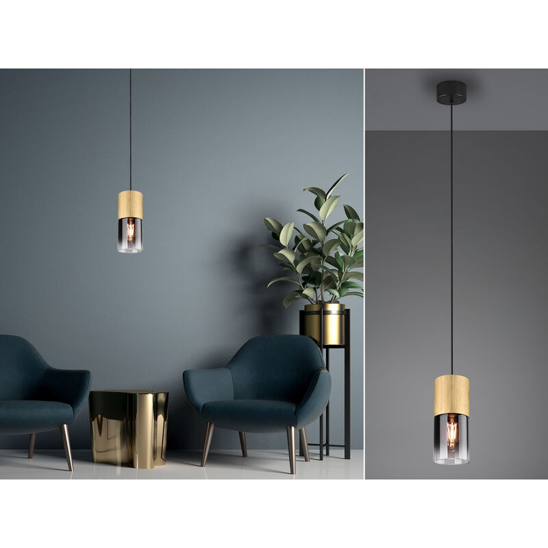 Trio - Pendelleuchte Robin 1-flammig Messing Matt Mit Rauchglas Schirm, Ø 10cm