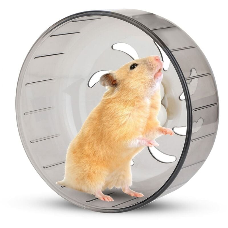 13 cm Hamster Roue De Course Acrylique Petit Tapis De Compagnie pour Animaux De Compagnie Animaux De Compagnie Roue d'exercice Courir Jouet Jouets