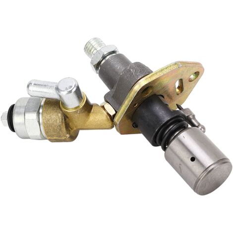 Ej.Life 186FA L100N Kraftstoffeinspritzpumpe, Einzylinder-Generator-Kraftstoffeinspritzer 12 V, Anwendbar für L100-Motor, Idealer Ersatz