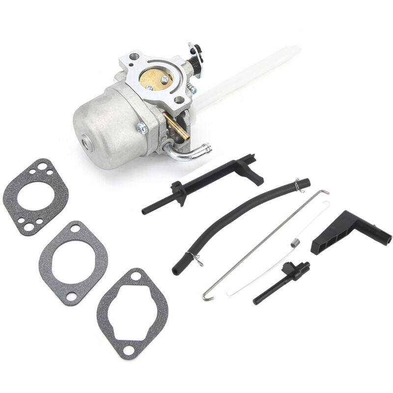 Ej.life - Carburateur, Remplacement de Carburateur en Alliage de Haute Qualité pour briggs stratton 796122 793161 696737 794593