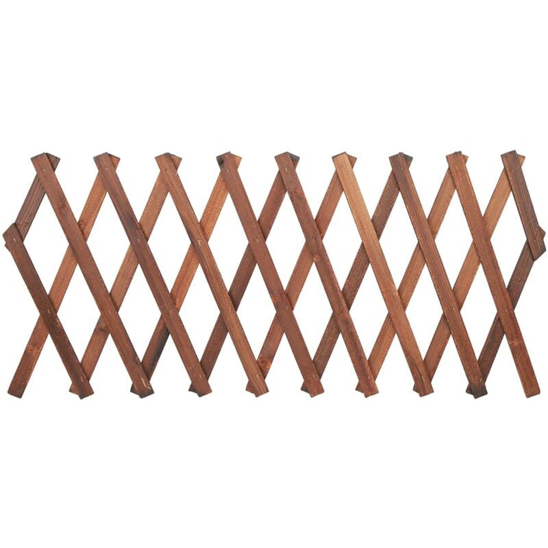 Focket Clôture en Treillis, étendue à 120 x 35cm, 155 x 30cm, 180 x 25cm, Mur en Treillis en Bois, Treillis Extensible en pin pour Plantes