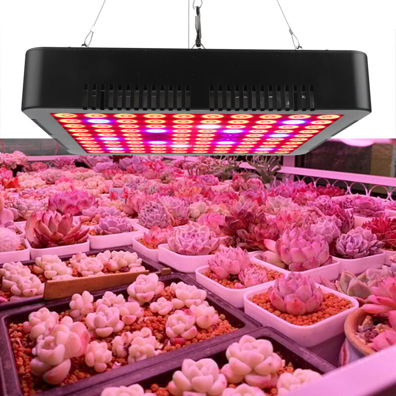 Ej.life - Lampe Horticole, 300W Lampe Horticole 100Leds Spectre Complet, Lampes de Croissance pour Plantes, Lampe Plante Interieur