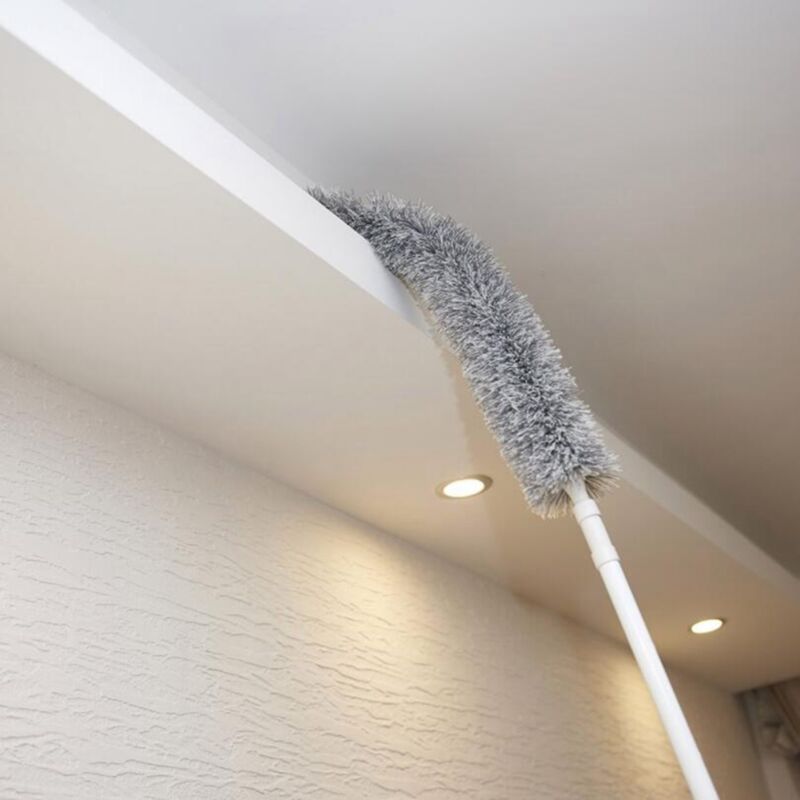 Plumeau de nettoyage à Long manche, Flexible, rétractable, lavable, Extension, nettoyage de la maison