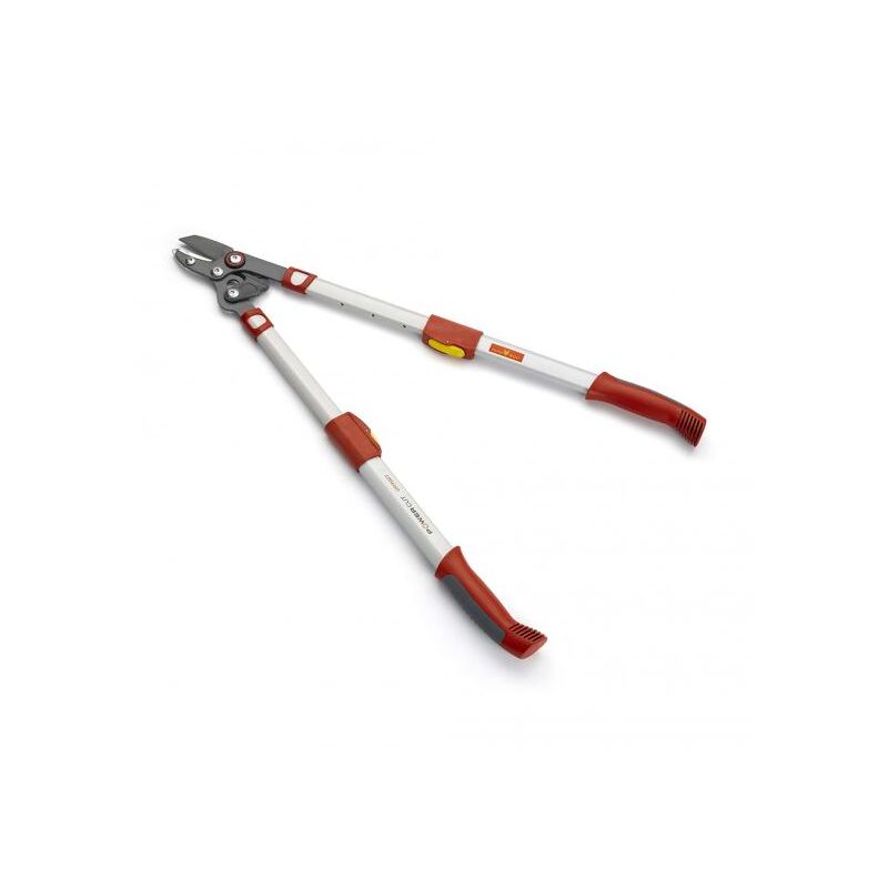 OR900T - Elagueur PREMIUM télescopique à enclume - Outils Wolf