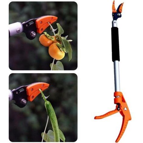 Élagueurs sur perche – Coupe-branches compacts et à courte portée Élagueurs sur perche rotatifs, cisailles de jardin, élagage sur perche