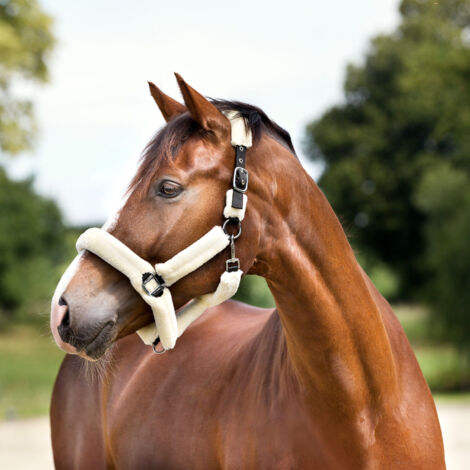 ELDORADO Nylonhalfter mit Kunstfell - weiß - Warmblut