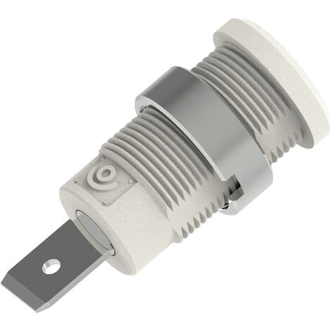 Electro PJP 3266-C-CD1-BC Sicherheits-Laborbuchse  Stift-Ø: 4 mm Weiß 1 St.