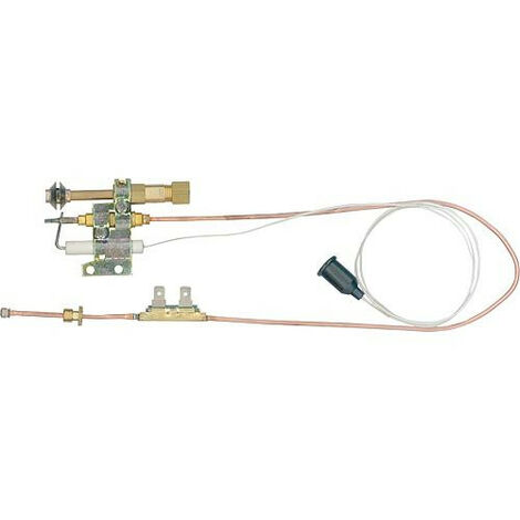 Electrode d allumage pour Viessmann 7812877 remplace 7251370