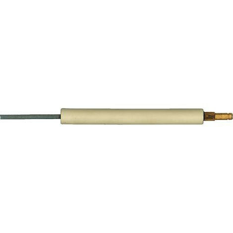 Electrode d ionisation pour Riello BS1 3007987