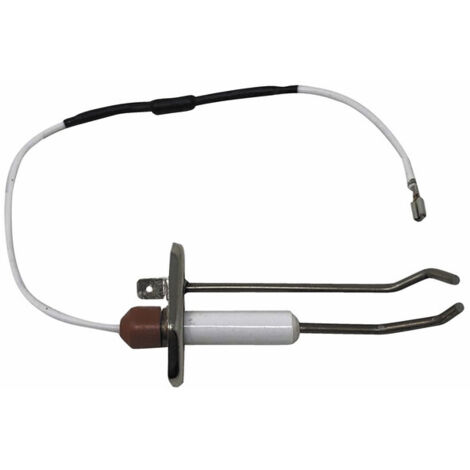 Électrode d&039allumage M110 - BIASI : BI1293102