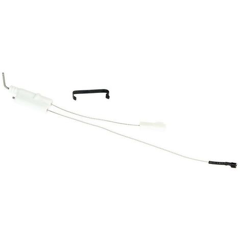 Electrode d'allumage