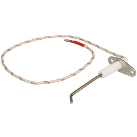 Electrode d'ionisation