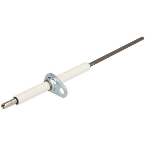 Électrode d'ionisation