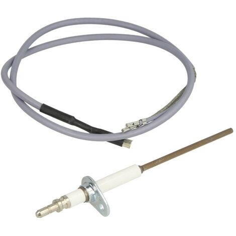 Electrode d'ionisation et câble