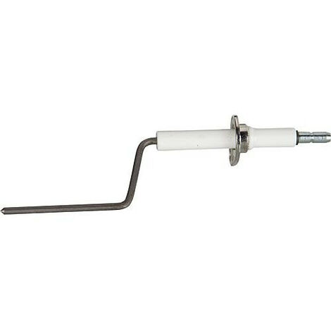 Electrode d'ionisation Weishaupt 450 110 3051/7
