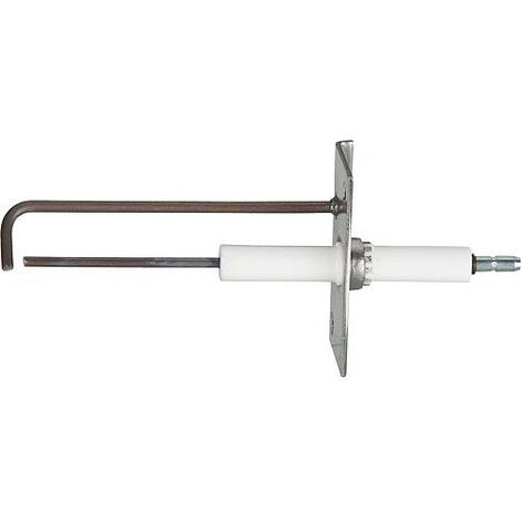 Electrode d'ionisation Weishaupt 450 210 3010/7