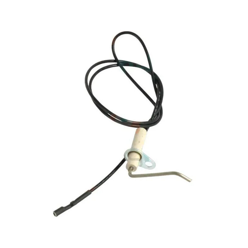 

¿Electrodo de encendido para TV30-40-50 SBT 75/65 antes de 01/99