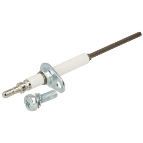 Electrodo d'ionisation