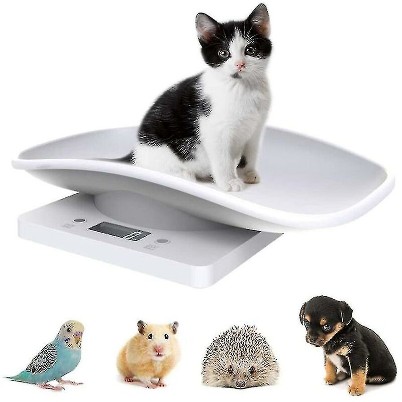 Electronic Digital Pet Scale Kitchen Food Weight Scale With LCD Display 10kg/22lb