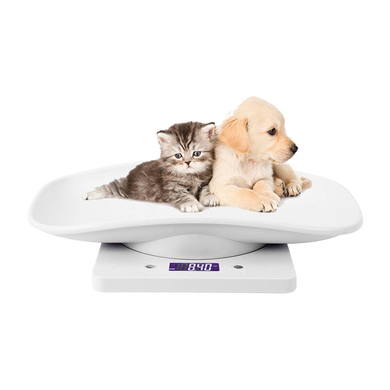 Electronic Pet Scale Small Digital Scale 10kg/1g lcd Display Scale Precision Scale Weighing Tool for Kitchen Kitten Puppy Turtle Hamster