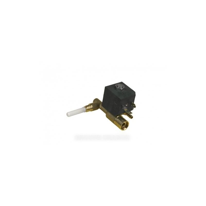 Electrovanne 1 voie pour Centrale Vapeur CALOR CS-00095084