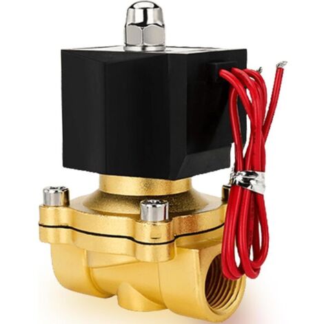Électrovanne AC220 V en laiton 1/2" G. électrovanne magnétique DN15 0-10 MPA. entrée d'eau. valves de distribution d'eau pour eau. air. gaz. huile