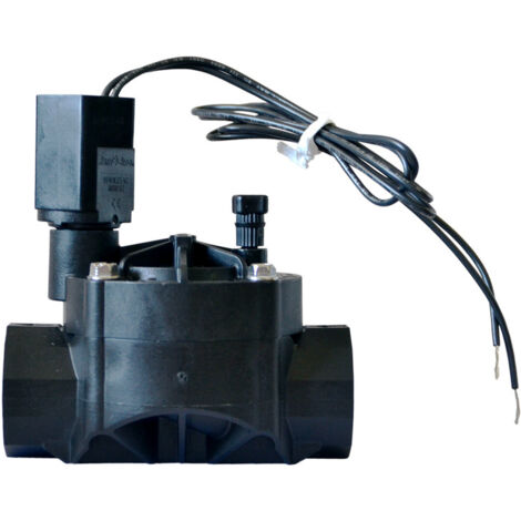 Électrovanne BSP 1 IG/IG RAINBIRD